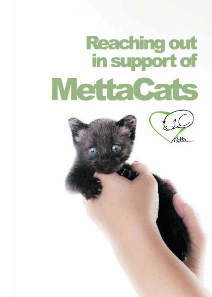 mettacats notebook